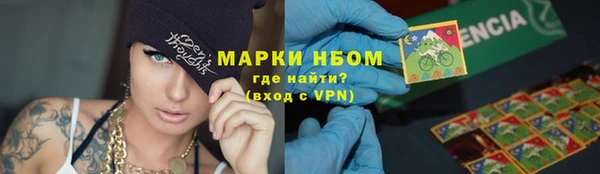 крисы Алзамай