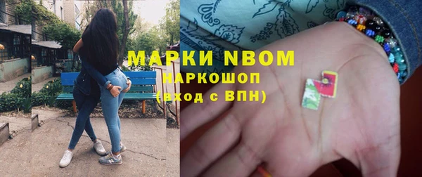 крисы Алзамай